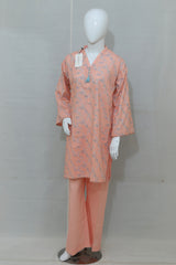 2-Piece Stitched Printed Lawn Dress